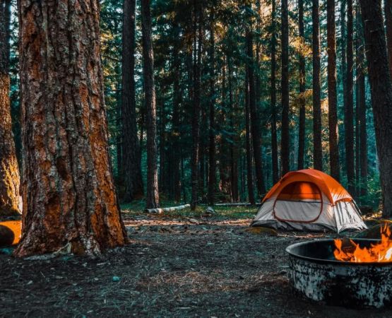 Discover Perfect Camping Near Sandy Beaches with Stunning Sunset Views
