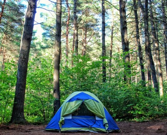 Explore the Most Scenic Tent Campsites USA for Unforgettable Outdoor Adventures