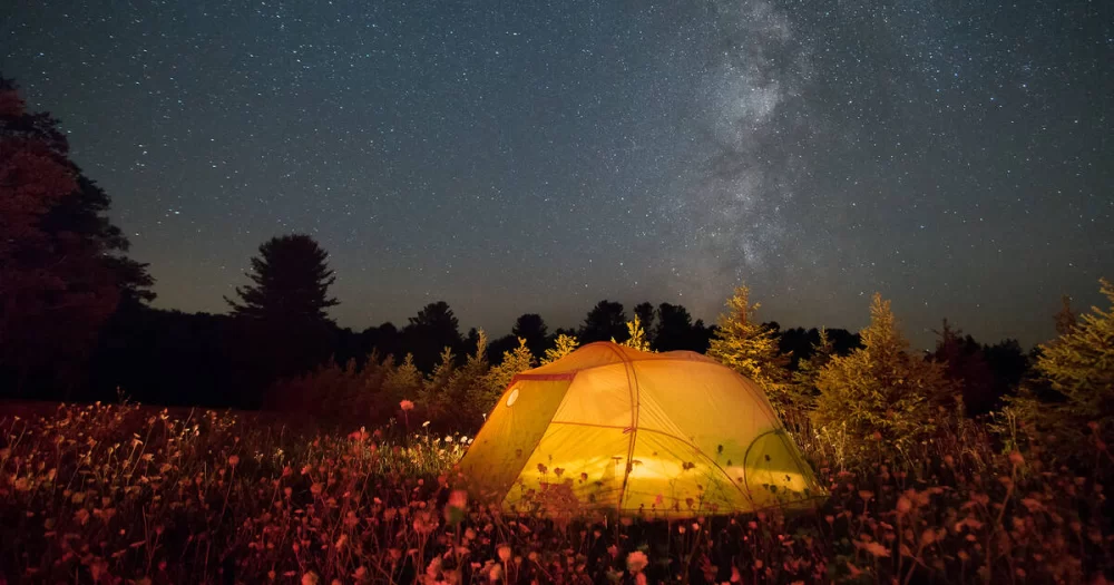 Best Stargazing While Camping in the USA: Top Dark Sky Destinations and Tips