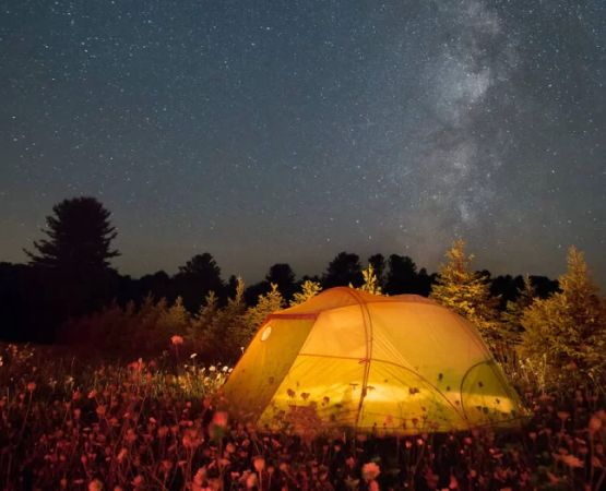 Best Stargazing While Camping in the USA: Top Dark Sky Destinations and Tips