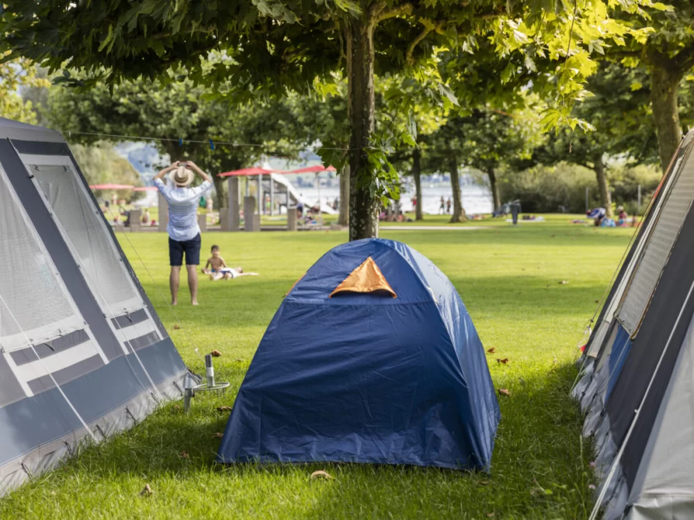 Discover Family-Friendly Camping Sites with Shore Fishing Access for Unforgettable Outdoor Adventures