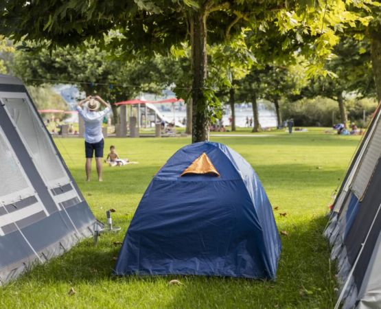 Discover Family-Friendly Camping Sites with Shore Fishing Access for Unforgettable Outdoor Adventures