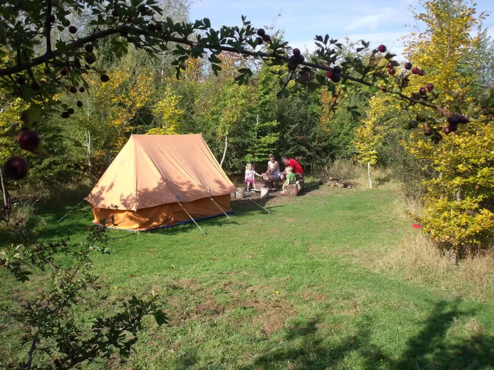 Experience Peaceful and Sustainable Camping on Quiet Farms for a Unique Eco-Friendly Retreat