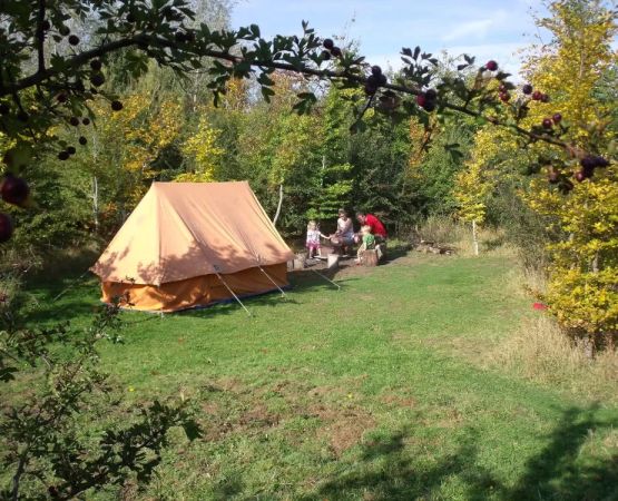 Experience Peaceful and Sustainable Camping on Quiet Farms for a Unique Eco-Friendly Retreat