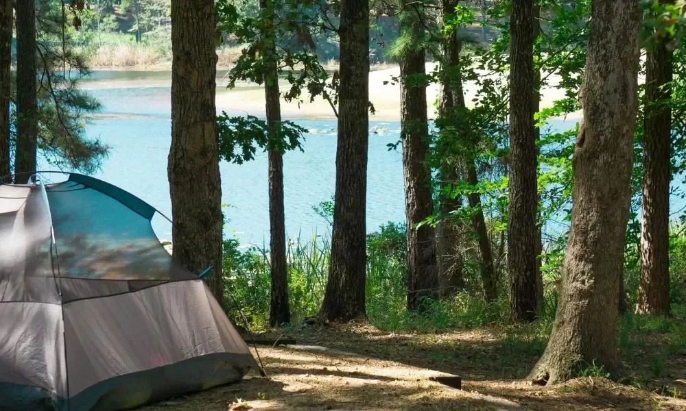 Exploring Nature Walks and Birdwatching Near Popular Camping Grounds for an Unforgettable Outdoor Experience