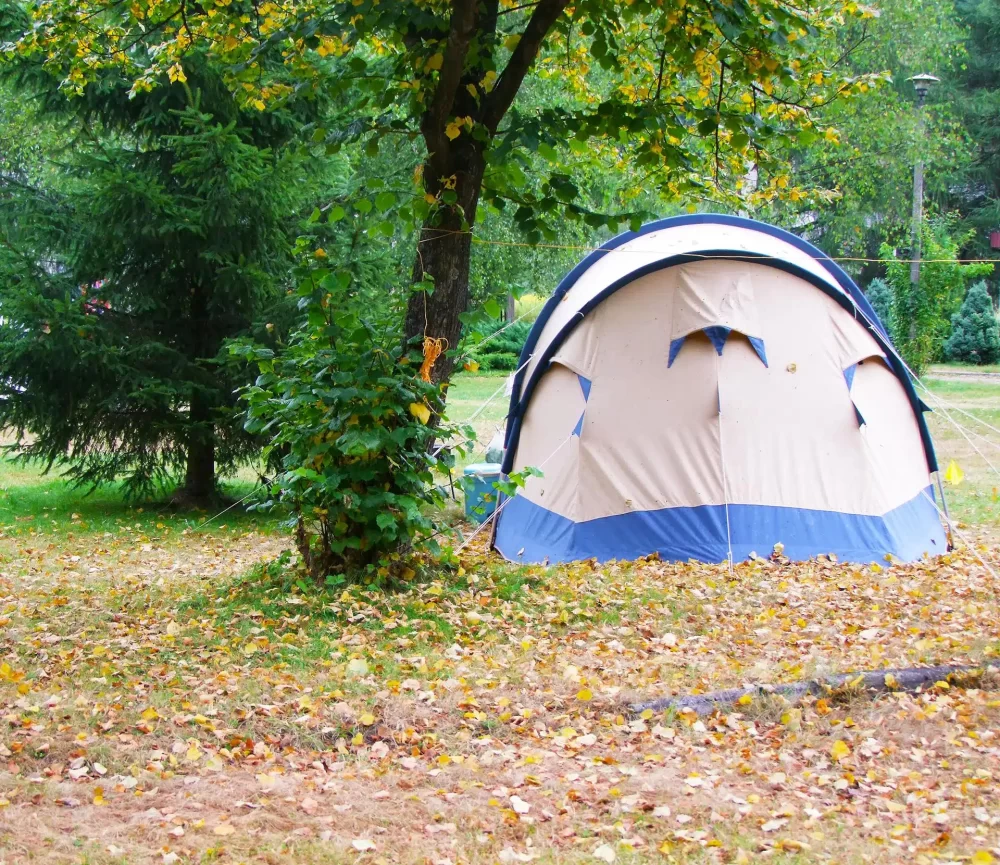 Discover the Joy of Camping Near Rural Farms for a Perfect Countryside Escape