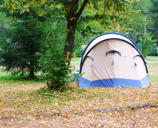Discover the Joy of Camping Near Rural Farms for a Perfect Countryside Escape