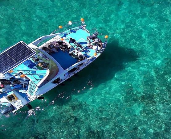 Discover Ultimate Outdoor Adventure with Camping, Boat Rentals, and Guided Fishing Tours