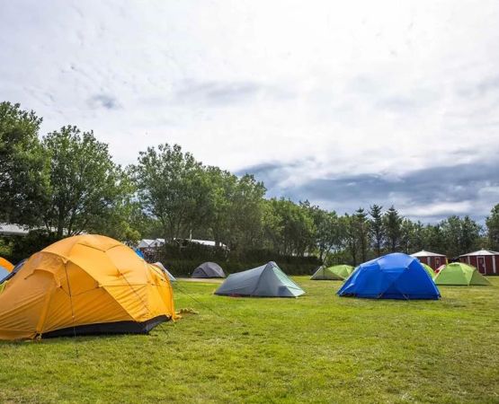 Top Camping Locations Offering Boat Rentals and Expert Fishing Guides for an Unforgettable Outdoor Experience
