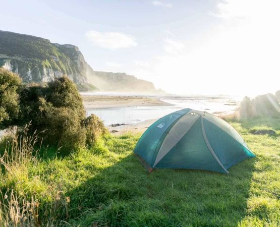 Explore Camping Locations with Guided Nature Walks and Wildlife Tours
