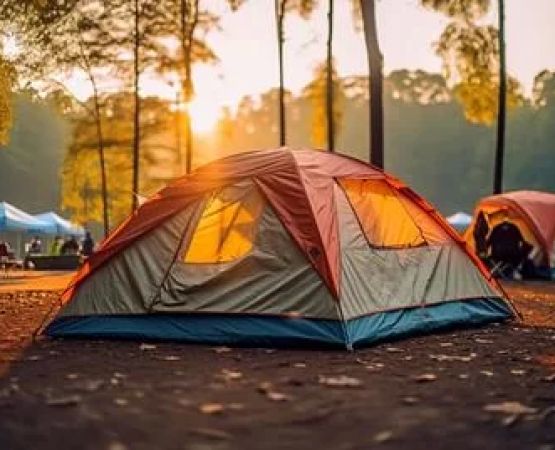 Discover the Best Seasonal Camping Destinations in America for Every Time of Year