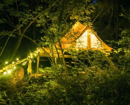 Experience Peaceful Eco-Tourism Camping on Quiet Farms for a Sustainable Getaway