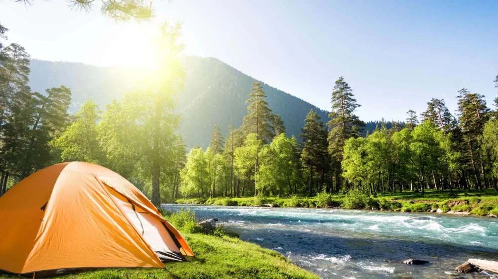 Discover Top Campsites for Boating, Fishing, and Hiking Enthusiasts to Explore Nature