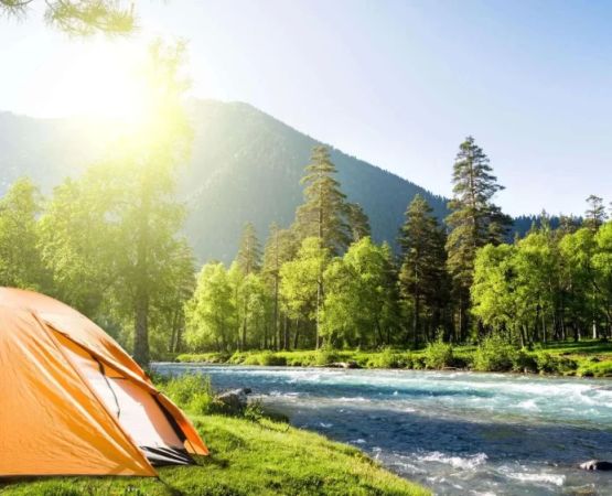 Discover Top Campsites for Boating, Fishing, and Hiking Enthusiasts to Explore Nature