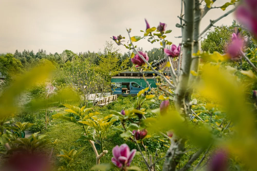 Unforgettable Farm Camping Experiences with Fresh Local Food