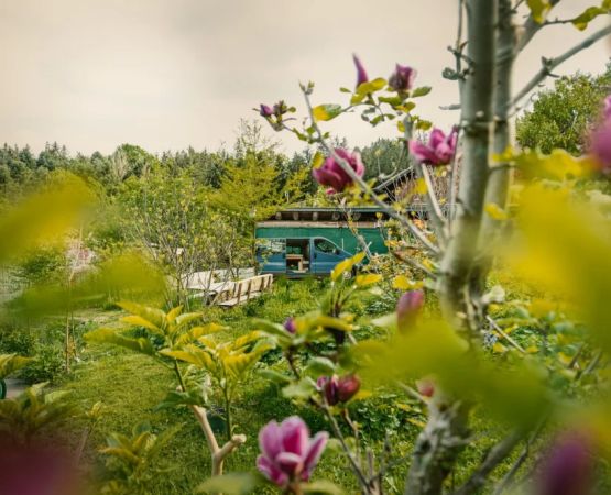 Unforgettable Farm Camping Experiences with Fresh Local Food