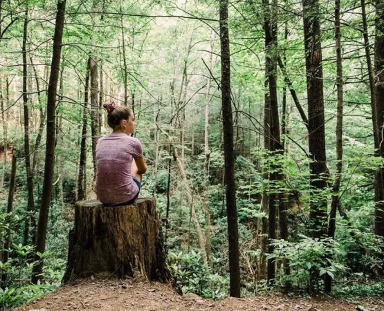 Forest Bathing and Camping in the USA: A Complete Guide to Reconnect with Nature
