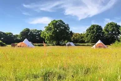Experience Peace and Fresh Air at Farm Camping Retreats with Quiet Surroundings