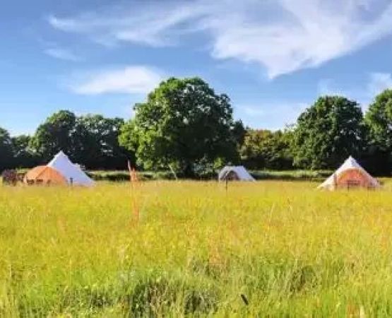 Experience Peace and Fresh Air at Farm Camping Retreats with Quiet Surroundings