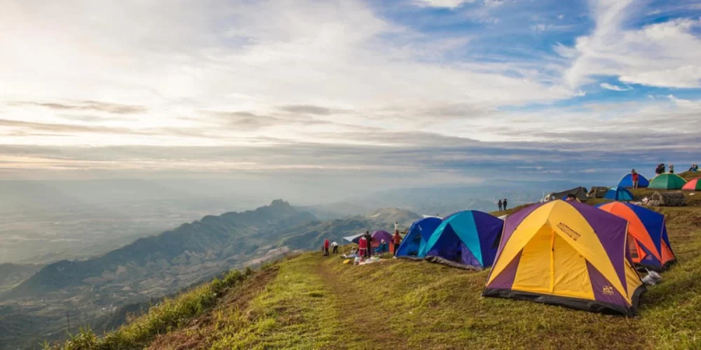 Enjoy Lakeside Camping with Calm Beaches and Easy Hiking Access for a Perfect Nature Retreat
