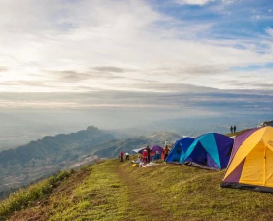 Enjoy Lakeside Camping with Calm Beaches and Easy Hiking Access for a Perfect Nature Retreat