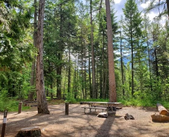 Top Family Camping Sites Near Quiet Farms for a Relaxing Outdoor Getaway