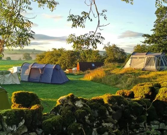 Experience Tranquil Camping on Quiet Farms for Unique Rural Tourism Adventures