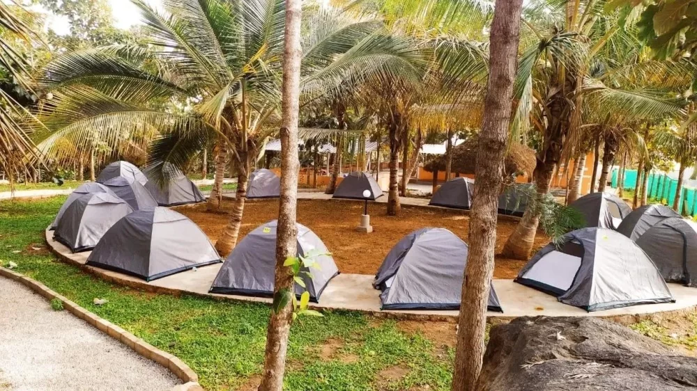 Discover Nature Walks and Birdwatching Near Popular Campgrounds for an Unforgettable Outdoor Experience