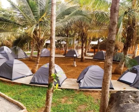 Discover Nature Walks and Birdwatching Near Popular Campgrounds for an Unforgettable Outdoor Experience