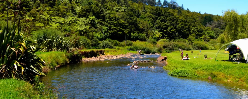 Discover the Best Campgrounds for Fishing from the Shore – Top Spots and Expert Tips
