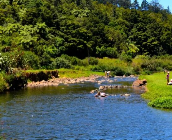 Discover the Best Campgrounds for Fishing from the Shore – Top Spots and Expert Tips