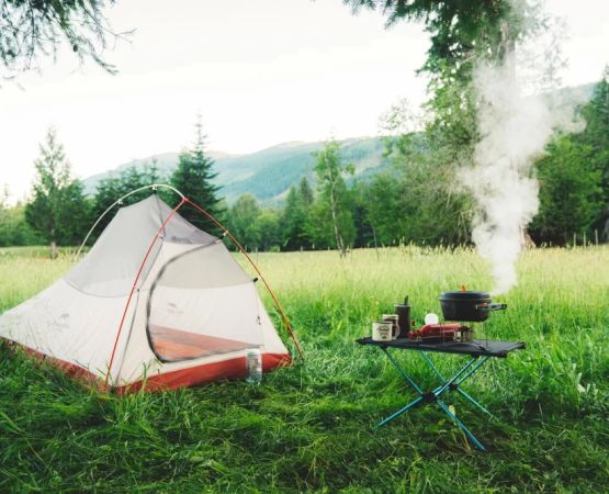Discover Nature Walks and Birdwatching Near Popular Camping Grounds
