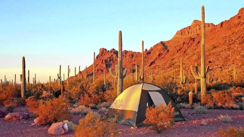 Discover Perfect Camping Near Natural Lakes with Sandy Beaches for Relaxing Outdoor Adventures