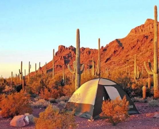 Discover Perfect Camping Near Natural Lakes with Sandy Beaches for Relaxing Outdoor Adventures