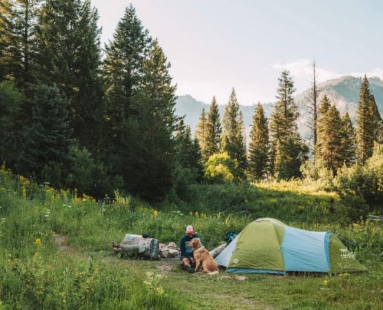 Exploring National Scenic Trails Camping in the USA | Tips and Essentials