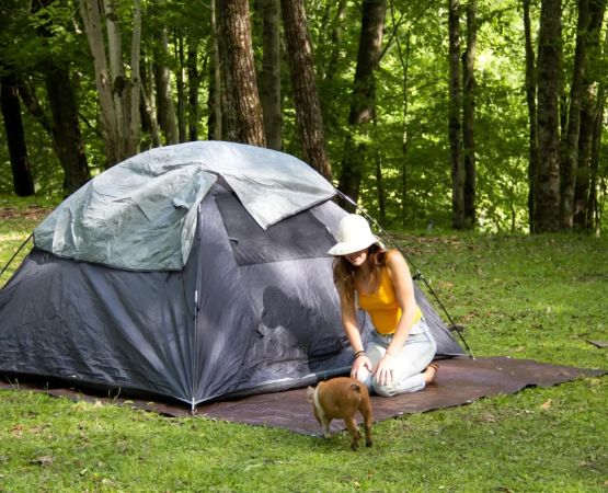 Discover the Best Places for Beach Camping in USA: Coastal Spots for Memorable Outdoor Stays