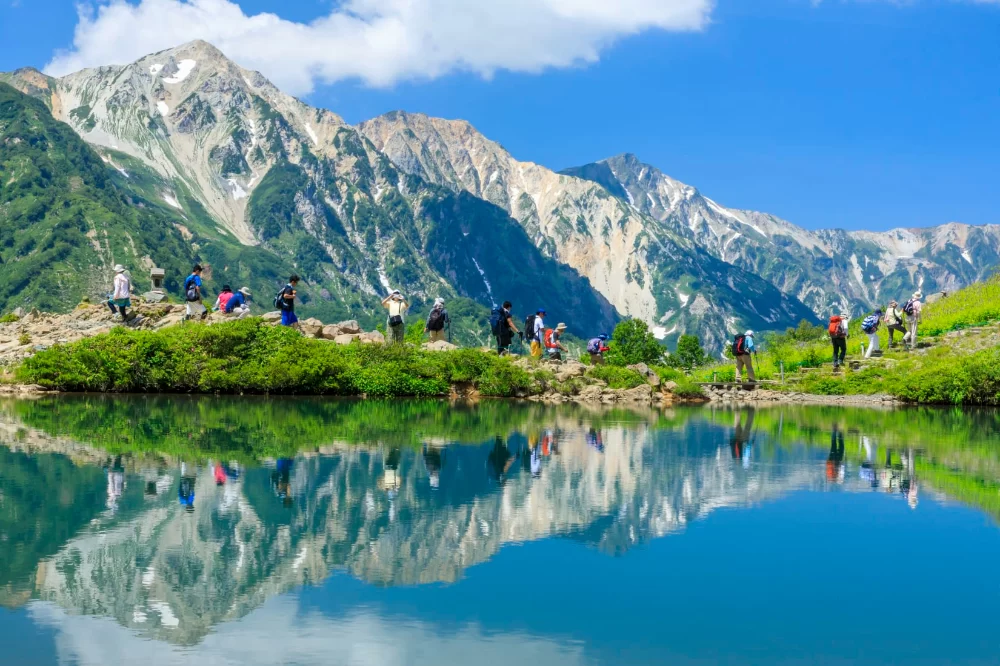 Enjoy Camping Near Rural Farms for a Refreshing Countryside Escape