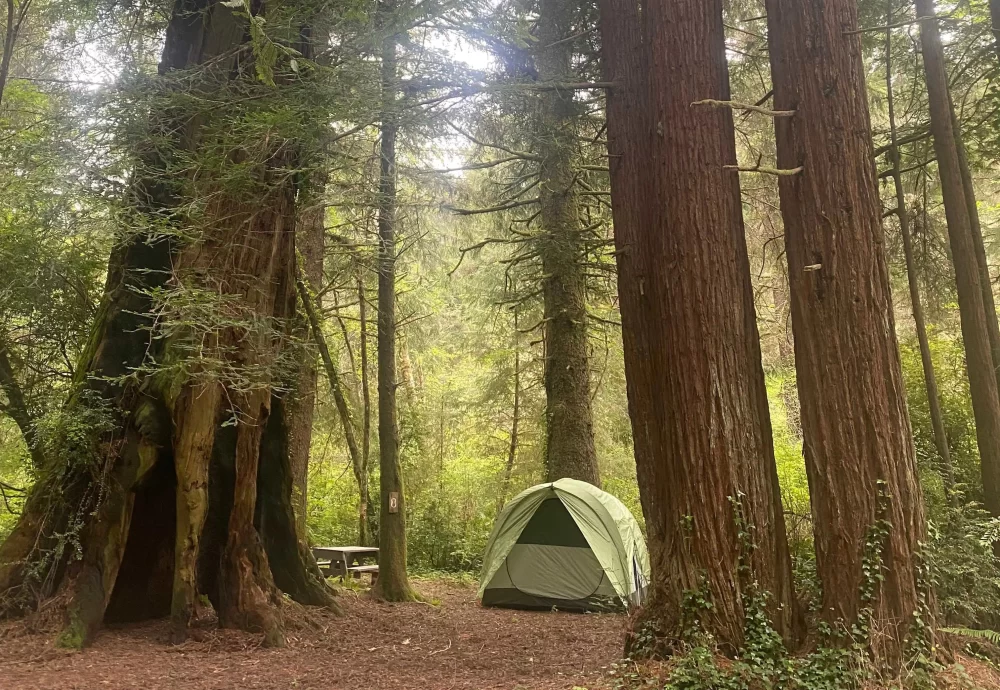 Explore the Best Fall Foliage Camping Destinations in the USA for Stunning Autumn Adventures