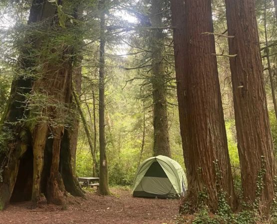 Explore the Best Fall Foliage Camping Destinations in the USA for Stunning Autumn Adventures