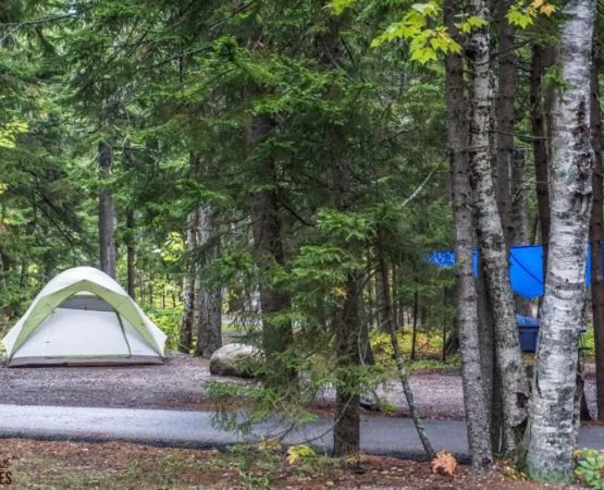 How to Secure National Park Camping Reservations in the USA – Tips and Insights