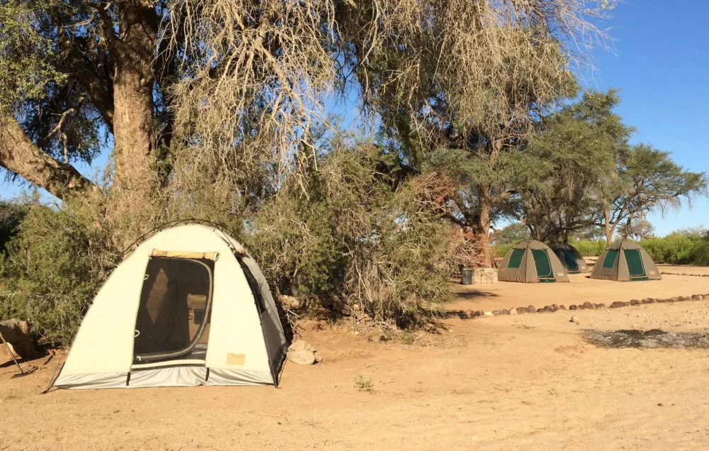 Discover the Top Rated Camping Gear for USA Adventures | Expert Insights and Recommendations