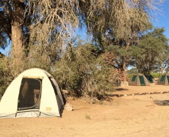 Discover the Top Rated Camping Gear for USA Adventures | Expert Insights and Recommendations