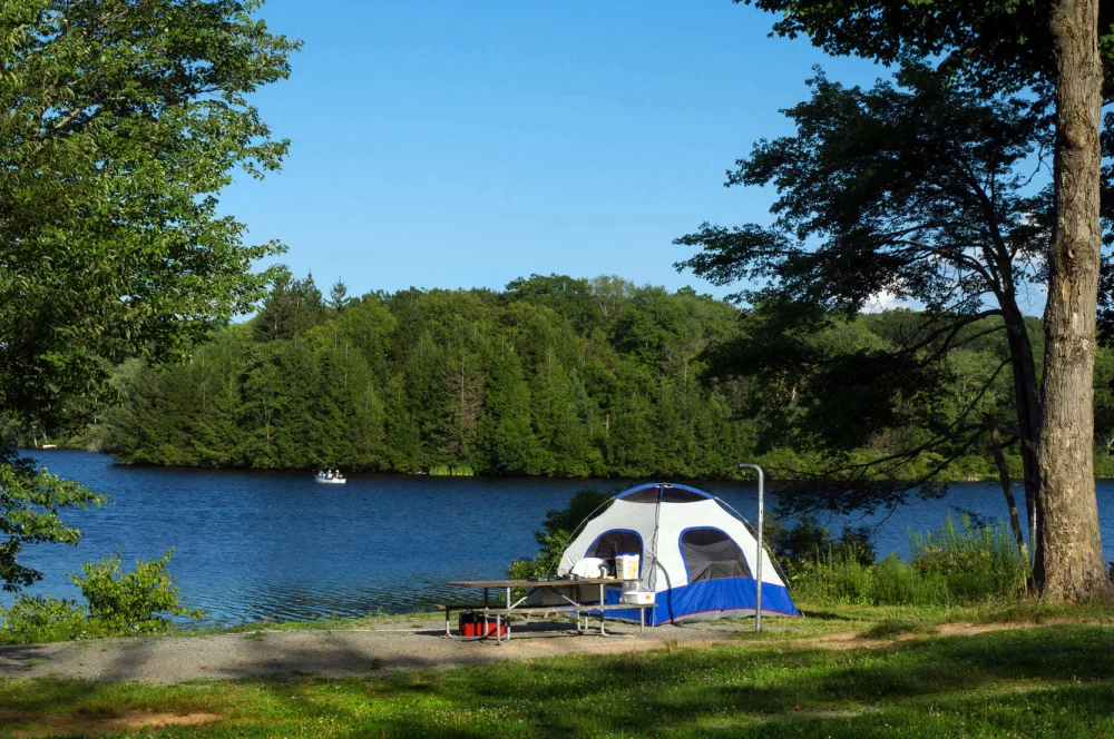 Discover the Best Natural Lakeside Campsites for Families with Pets – Perfect Outdoor Getaways