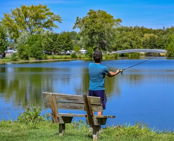 Discover the Best Shore Fishing Spots at Lakeside Campgrounds for an Unforgettable Experience