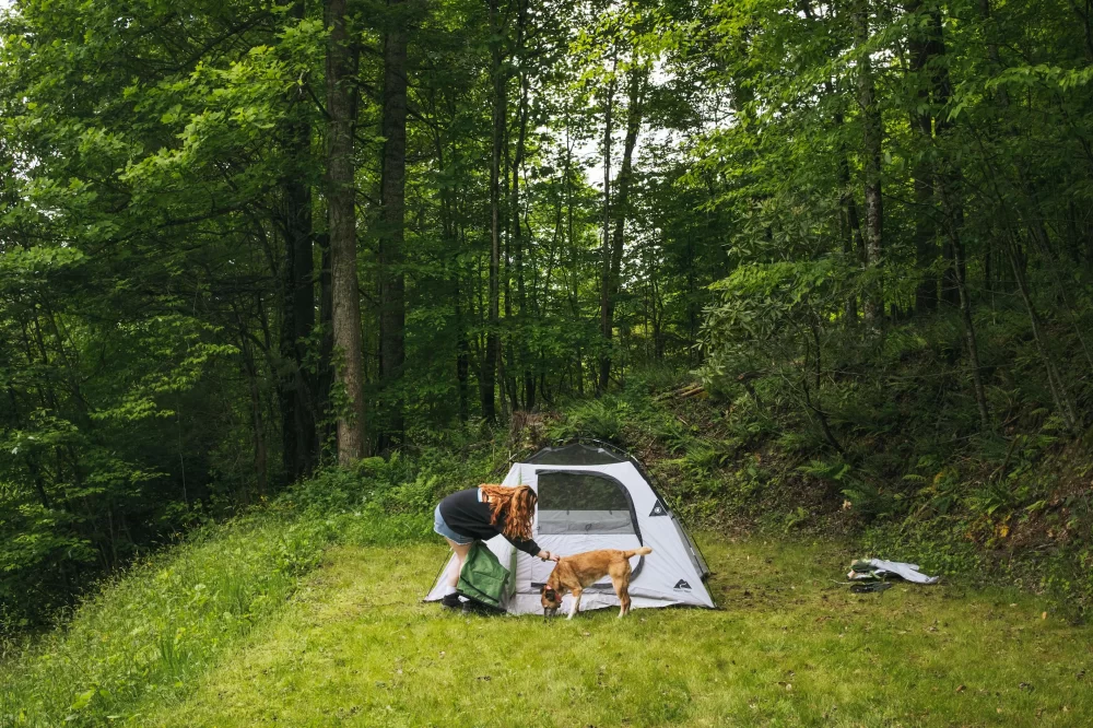 Explore Nature Walks Near Secluded Camping Grounds for a Refreshing Outdoor Adventure