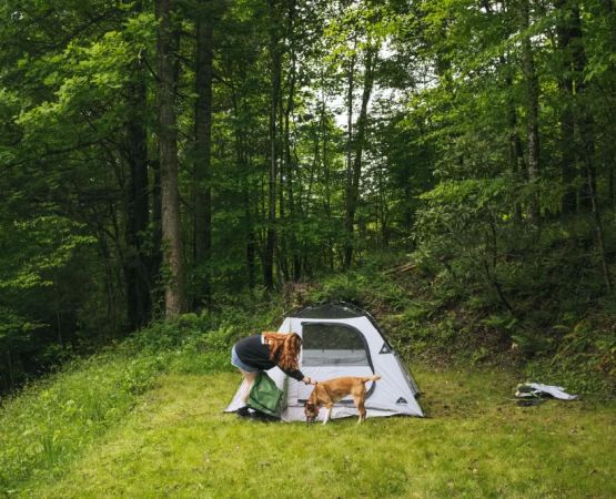 Explore Nature Walks Near Secluded Camping Grounds for a Refreshing Outdoor Adventure