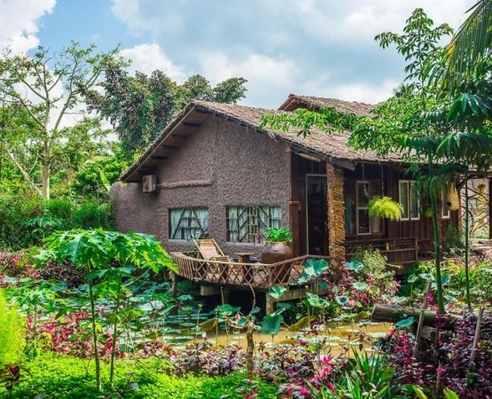 Experience Eco-Friendly Tourism by Camping Near Rural Farms for a Unique Getaway