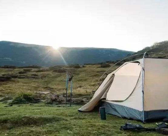 Discover Scenic Farm Camping Sites Perfect for Photographers and Hikers