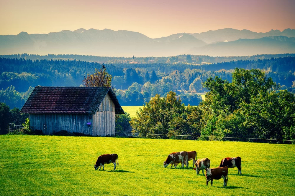 Enjoy Authentic Farm Stays Offering Camping with Fresh Local Meals