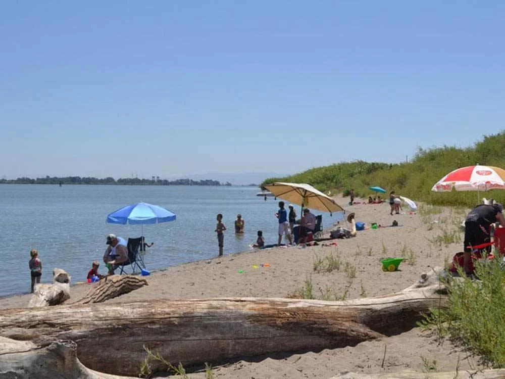 Top Sandy Beach Campgrounds for Family Vacations: Perfect Spots for Outdoor Fun